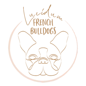 Logo Design Lucidum French Bulldogs